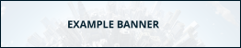 Niagara-marketplace-example-banner.png